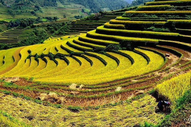 From Hanoi: 2-Day Overnight Sapa Tour by Luxury Van Limousine - Giang Ta Chai for the homestay option