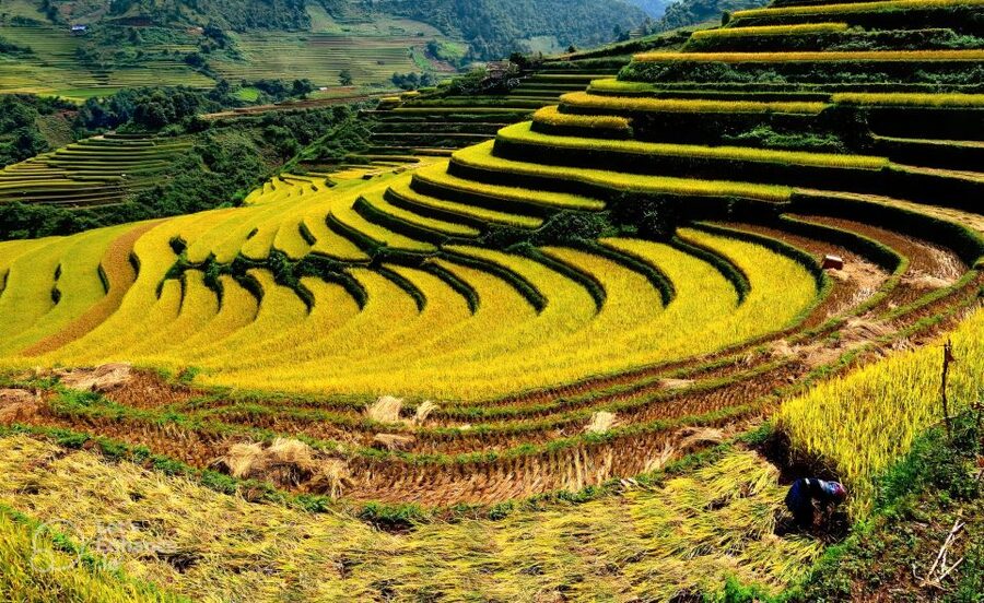 From Hanoi: 2-Day Sapa-Fansipan Peak & Trek & Ha Giang Bus - Food, hotel, and what the price covers