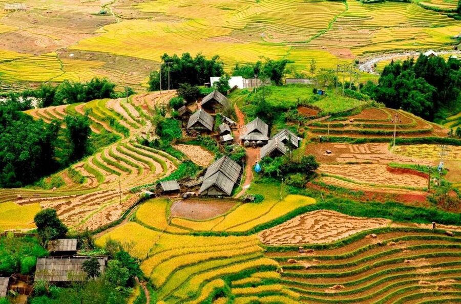From Hanoi: 2-Day Sapa Trekking Trip with Homestay & Meals - Quick takeaways