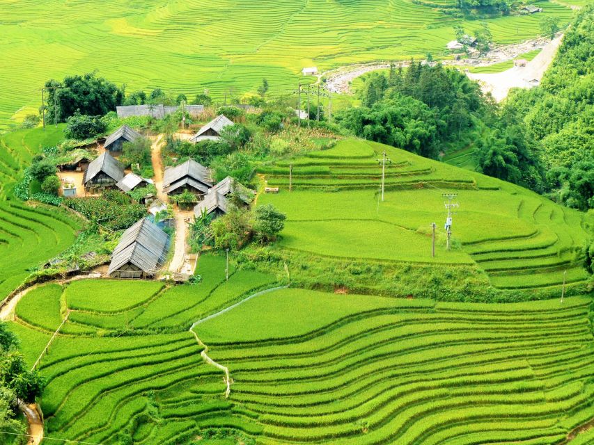 From Hanoi: 2-Day Sapa Trekking Trip with Homestay & Meals - Day two: bamboo forest or farm work
