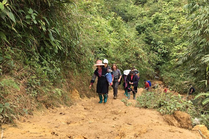 From Hanoi: 2 Days Sapa Trek & Fansipan Adventure with Dcar - Lao Chai and Ta Van through rice terraces