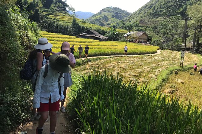 From Hanoi: 3 Days Luxury Sapa Trek & Fansipan Peak with Dcar - Walking conditions and what to pack