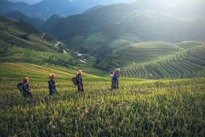 From Hanoi: 3 Days Sapa Trekking & Ethnic Villages by Dcar - The hotel, meals, and overall comfort