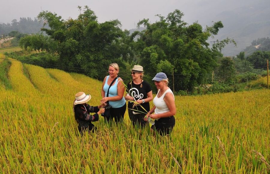 From Hanoi: Explore Sapa 2-Day Tour - Lunch, free time, and the return to Hanoi