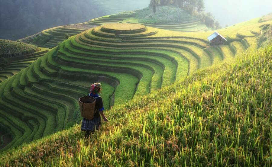 From Hanoi: Explore Sapa 2-Day Tour - What the $105 price really covers