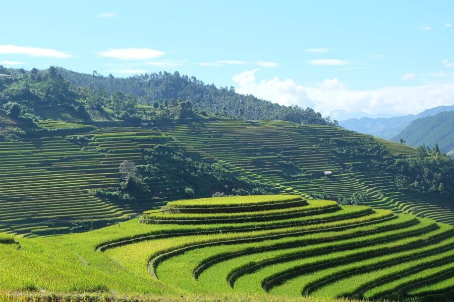 From Hanoi: Explore Sapa 2-Day Tour - Weather, clothing, and walking conditions