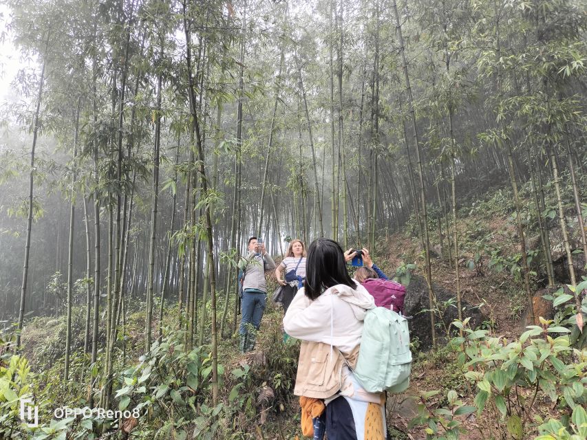 From Hanoi: Guided 2-Day Tour of Sa Pa with Lunch & Dinner - Day two: rice paddies, bamboo forest, and Giang Ta Chai