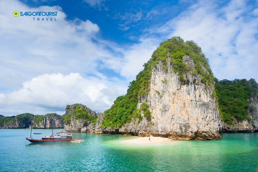 From Hanoi: Halong Bay Day Trip with Lunch and Transfers - Titop Island for views, swimming, or a rest