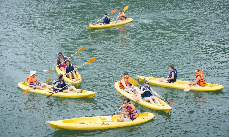 From Hanoi: Halong Explorer 3-Day Deluxe Cruise - Should you book the Phoenix Cruise?