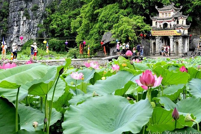 From Hanoi: Hoa Lu, Tam Coc, and Mua Cave Scenic Day Trip - Hoa Lu and the temples of Vietnam’s early capital