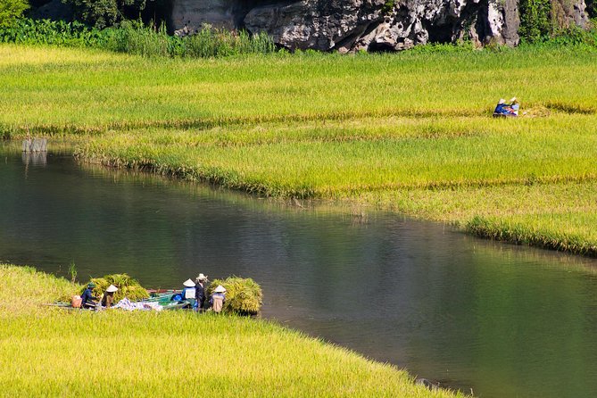 From Hanoi: Hoa Lu - Tam Coc boating - Cycling & Mua Cave visit - Short cycling through Ninh Binh villages