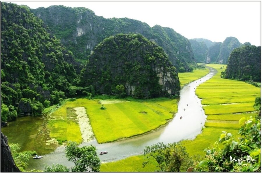 From Hanoi: Hoa Lu & Tam Coc with Buffet lunch & Cycling - Lunch with local dishes in Tam Coc