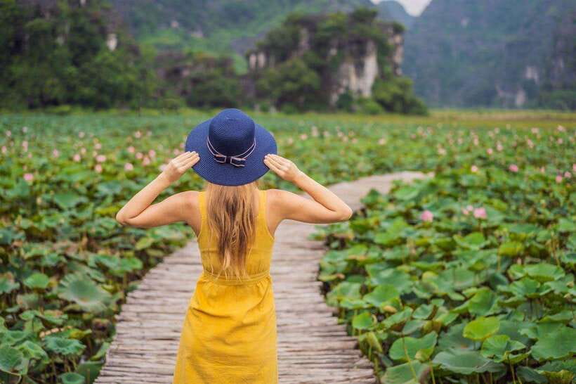 From Hanoi: Ninh Binh- Hoa Lu-Tam Coc- Mua Cave- Highlight - Lunch With Goat Meat and Vietnamese Dishes