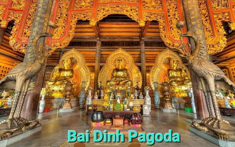 From Hanoi/NinhBinh: HoaLu-Bai Din- TrangAn- MuaCave-BichDon - Key points to know before booking