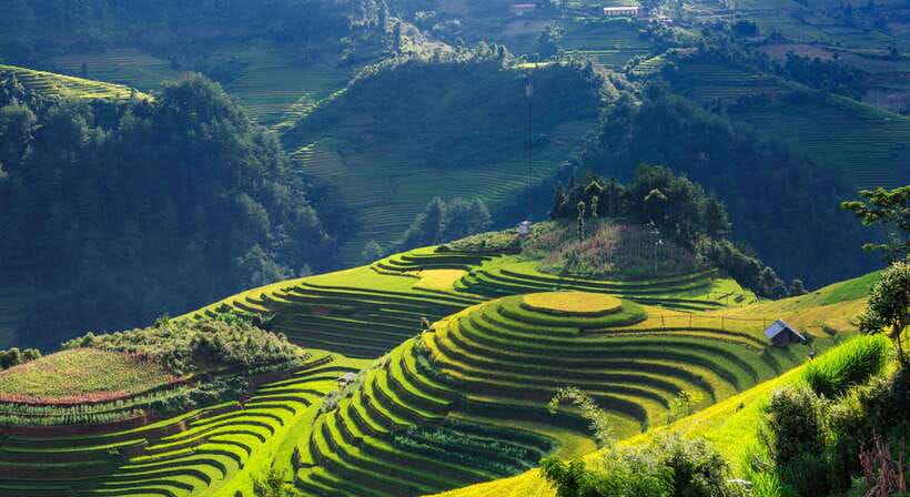 From Hanoi: Premium 3-Day Sapa Adventure with DCAR Limousine - The Hanoi to Sapa ride in a DCAR limousine