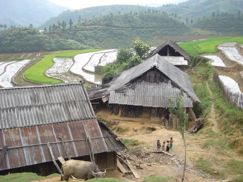 From Hanoi: Sapa 3-Day Medium Trek and Limousine Trip - Food, transport, and what the $165 covers
