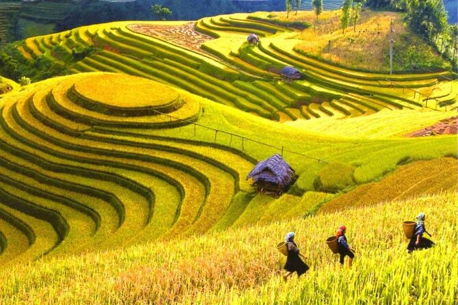 From Hanoi : Sapa Moutain Trek - Halong bay Heritage - Day 4: Surprise Cave and the return to Hanoi