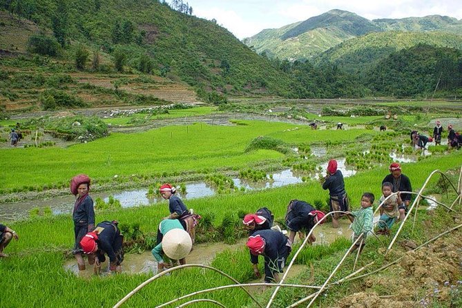 From Hanoi: Sapa Real Experience 2-Day 1 Night at Ethnic Homestay - Leaving Hanoi for the Hoang Lien Son Mountains