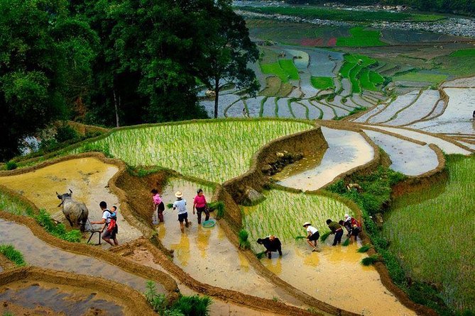 From Hanoi: Sapa Real Experience 2-Day 1 Night at Ethnic Homestay - Cooking dinner with a Tay family