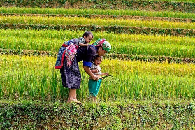 From Hanoi: Sapa Real Experience 2-Day 1 Night at Ethnic Homestay - Weather, views, and the best season to go