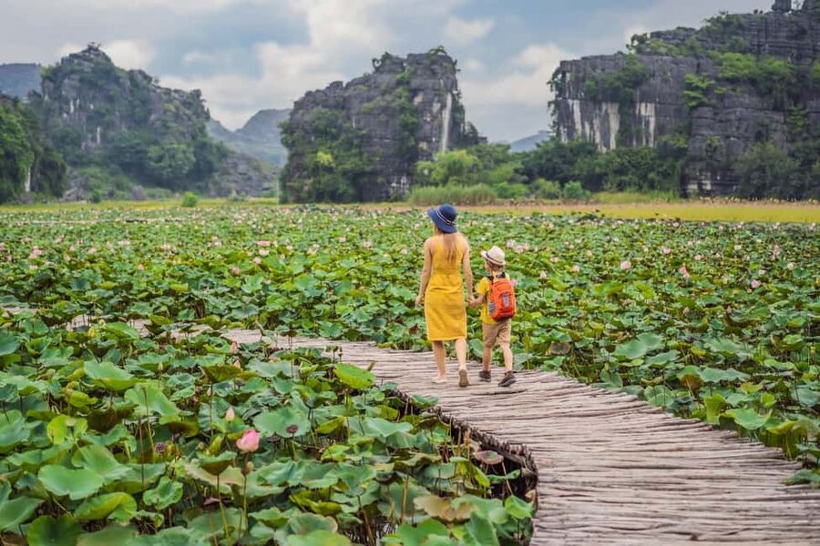 From Hanoi: Trang An Eco-tourism -Bai Dinh pagoda & Mua Cave - The Trang An boat route