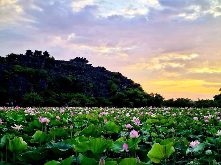 From Hanoi: Trang An eco-tourism - Hoa Lu ancient & Mua Cave - Is $42 good value?