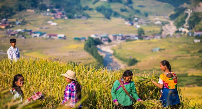 From Hanoi: Trek and Stay: 3-Day Sapa Highlands Adventure - Value at $98