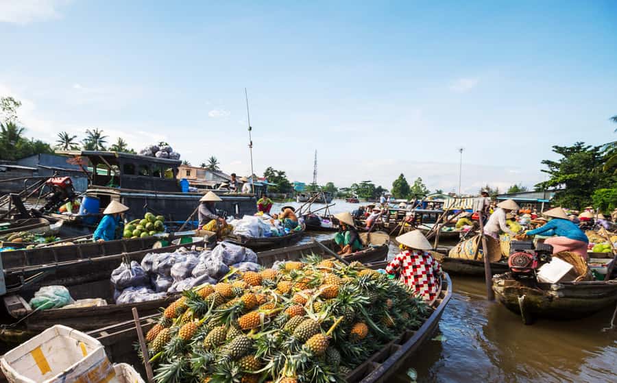 From HCM: Mekong Delta & Cai Rang Floating Market 2-Day Tour - My Tho and the Mekong River by motorboat