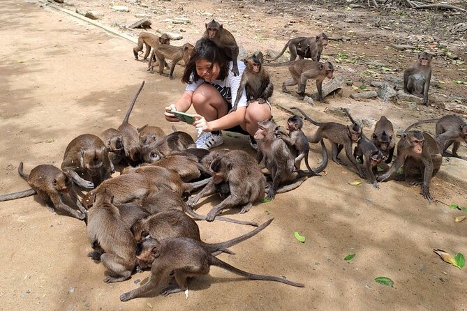 From Ho Chi Minh: Can Gio Trek – Monkey Island & Crocodile Farm - The crocodile stop at Hoa Ca
