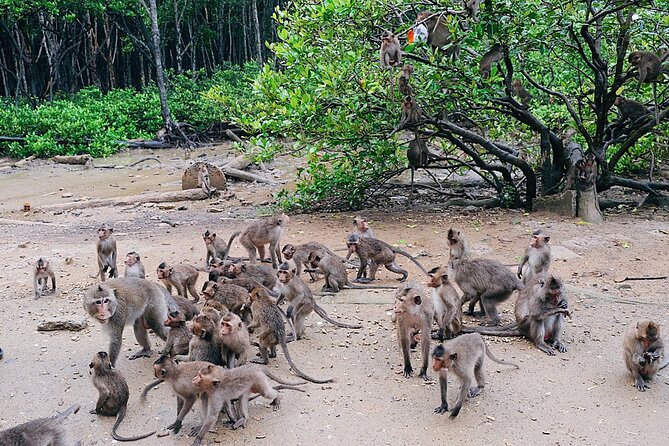 From Ho Chi Minh: Can Gio Trek – Monkey Island & Crocodile Farm - The boat ride: useful addition or noisy extra?