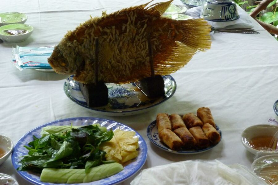 From Ho Chi Minh City: Mekong Delta VIP Tour by Limousine - Vietnamese lunch and a half-hour to slow down