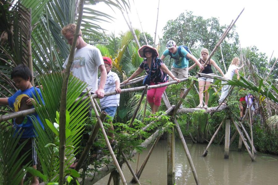 From Ho Chi Minh City: Mekong Delta VIP Tour by Limousine - How good is the $49 value?