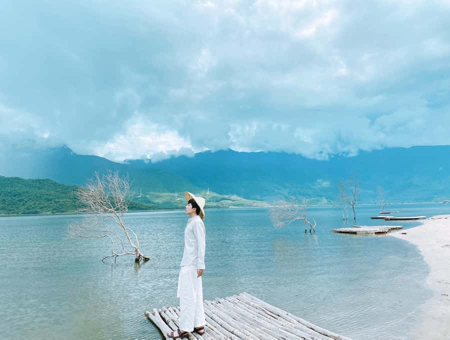 From Hoian & Danang: Hue City Tour with HaiVan Pass - Who should book this Hue day trip?