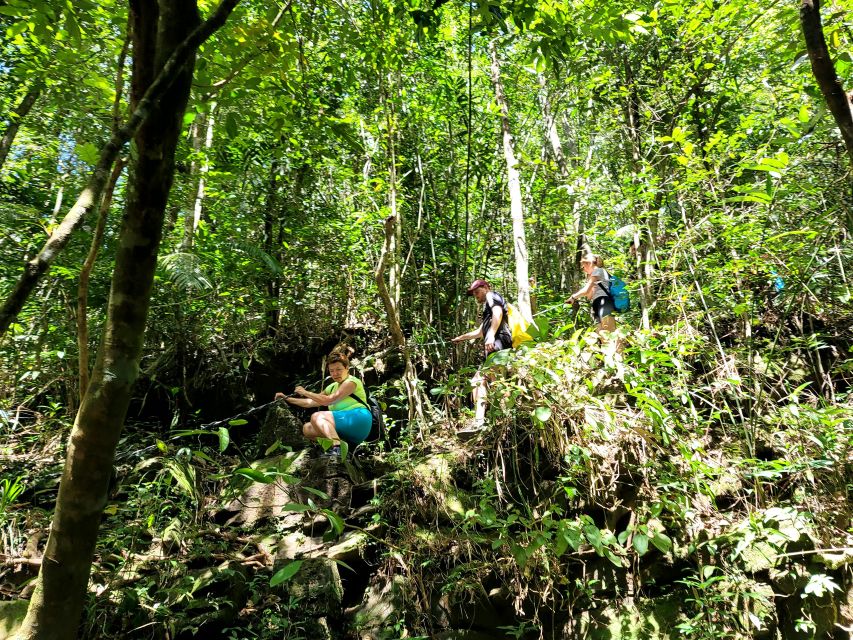 From Hue: Bach Ma National Park Hiking Day Trip with Pickup - How hard is the Bach Ma hike?