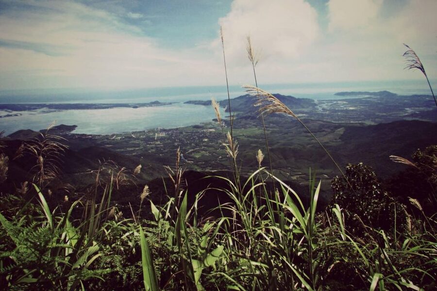 From Hue/Da Nang/Hoi An: Bach Ma National Park Trekking Tour - Why Bach Ma works as a day trip