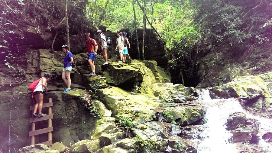 From Hue/Da Nang/Hoi An: Bach Ma National Park Trekking Tour - Reaching Hai Vong Dai Peak