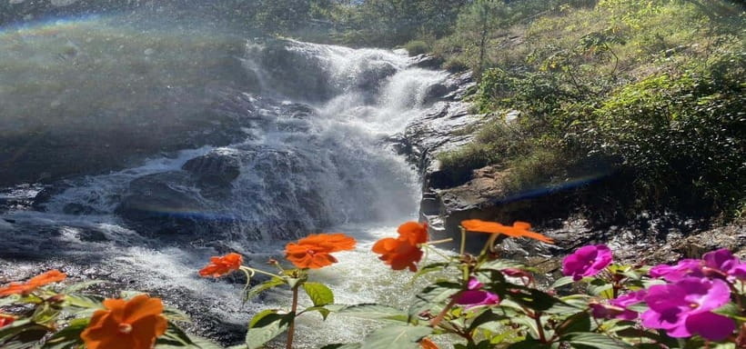 From Nha Trang: Best Seller Top Site Luxury Da Lat City Trip - Key points to know before booking