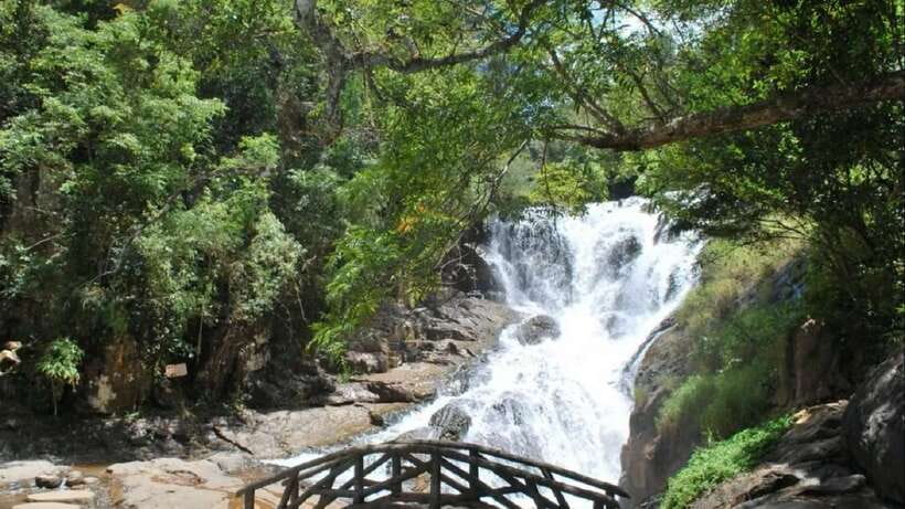 From Nha Trang: Best Seller Top Site Luxury Da Lat City Trip - Truc Lam Temple and its flower collection