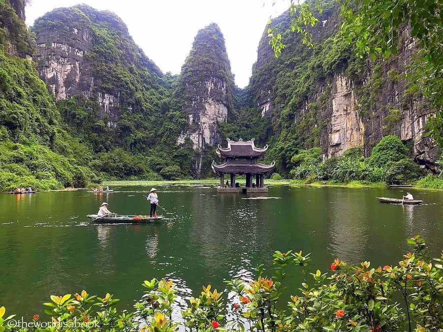 From Ninh Binh : Bai Dinh, Hoa Lu, Trang An, Mua Cave Tour - Transport, timing, and group size