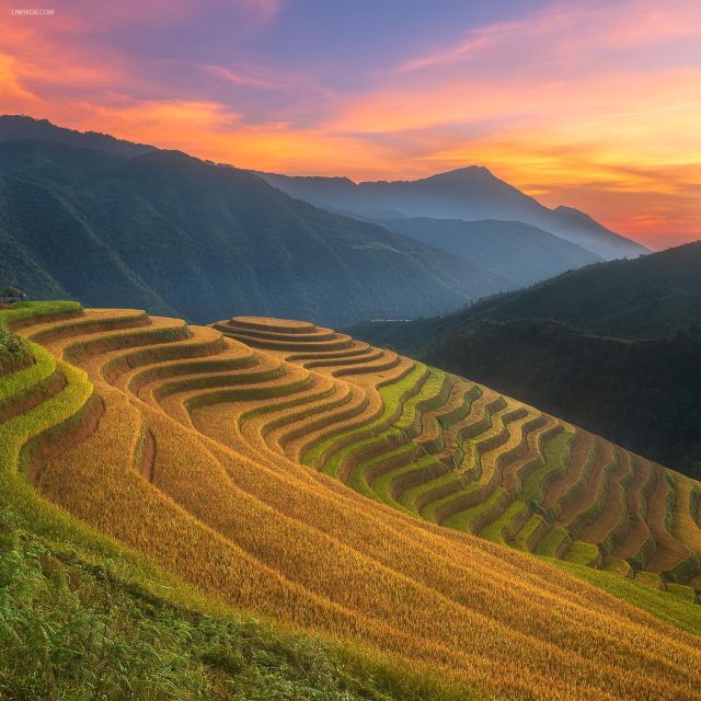 From Sapa: 1-Day Guided Trek to Lao Chai & Ta Van with Lunch - What this Sapa trek really gives you