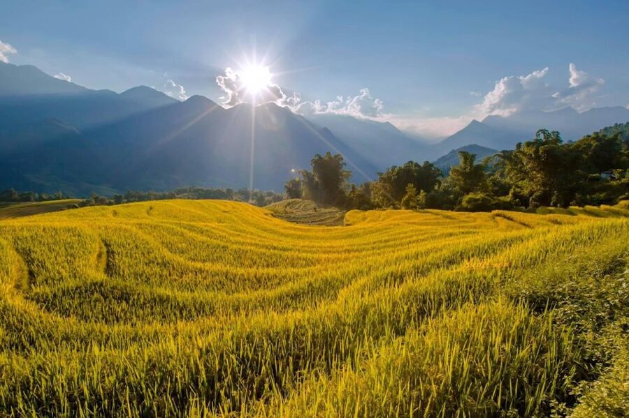 From Sapa: 1-Day Guided Trek to Lao Chai & Ta Van with Lunch - The right season and the wrong shoes