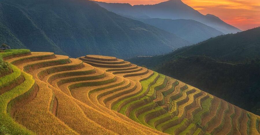 From Sapa: 1-Day Guided Trek to Lao Chai & Ta Van with Lunch - Following the Muong Hoa stream toward Lao Chai