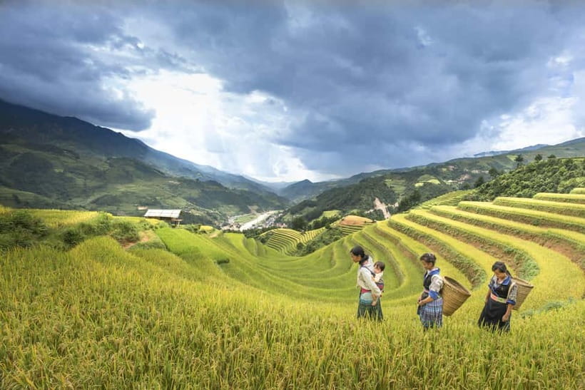 From Sapa Homestay Hideaway 2-Day Local Life Adventure - Day one: Y Linh Ho and the long walk to Ta Van