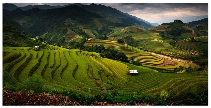 From Sapa: Terrace Fields and Local Villages Trek with Lunch - Why this Sapa trek is worth your time