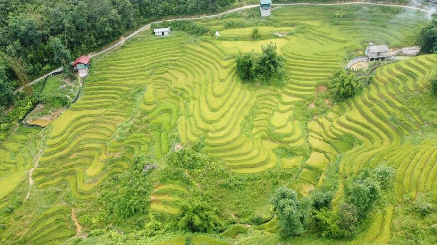 From Sapa: Terrace Fields and Local Villages Trek with Lunch - Local lunch after the walk