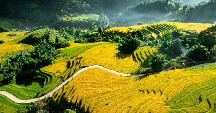 From Sapa: Terrace Fields and Local Villages Trek with Lunch - Shuttle back to Sapa after seven hours