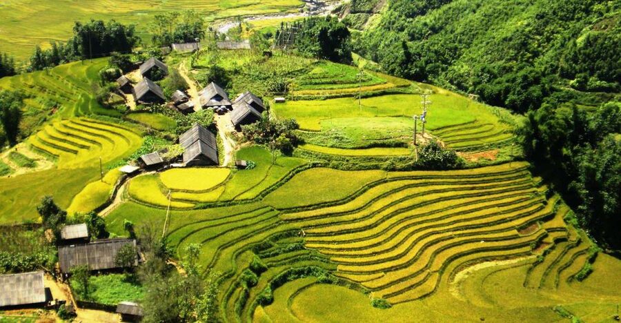 From Sapa: Terrace Fields and Local Villages Trek with Lunch - Starting in Sapa between 8:00 and 8:45