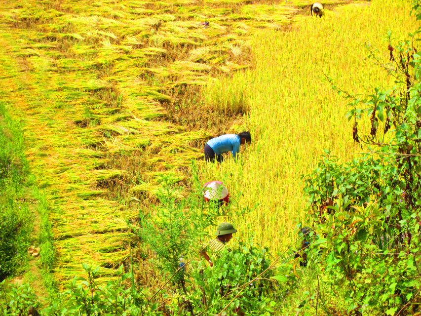 From Sapa: Waterfalls, Trekking and Tribal Villages Tour - The Four-Hour Trek: Beautiful, But Check Your Fitness