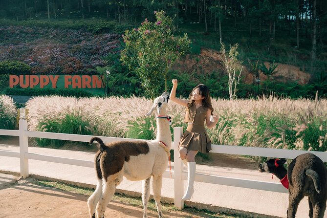 Full-Day Highlight of Da Lat –The famous tourist attractions 2025 - Key points at a glance