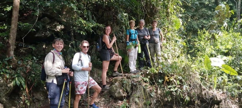 Full day hike - climbing in Jungle of Cat Ba National park - Key points to know before you book